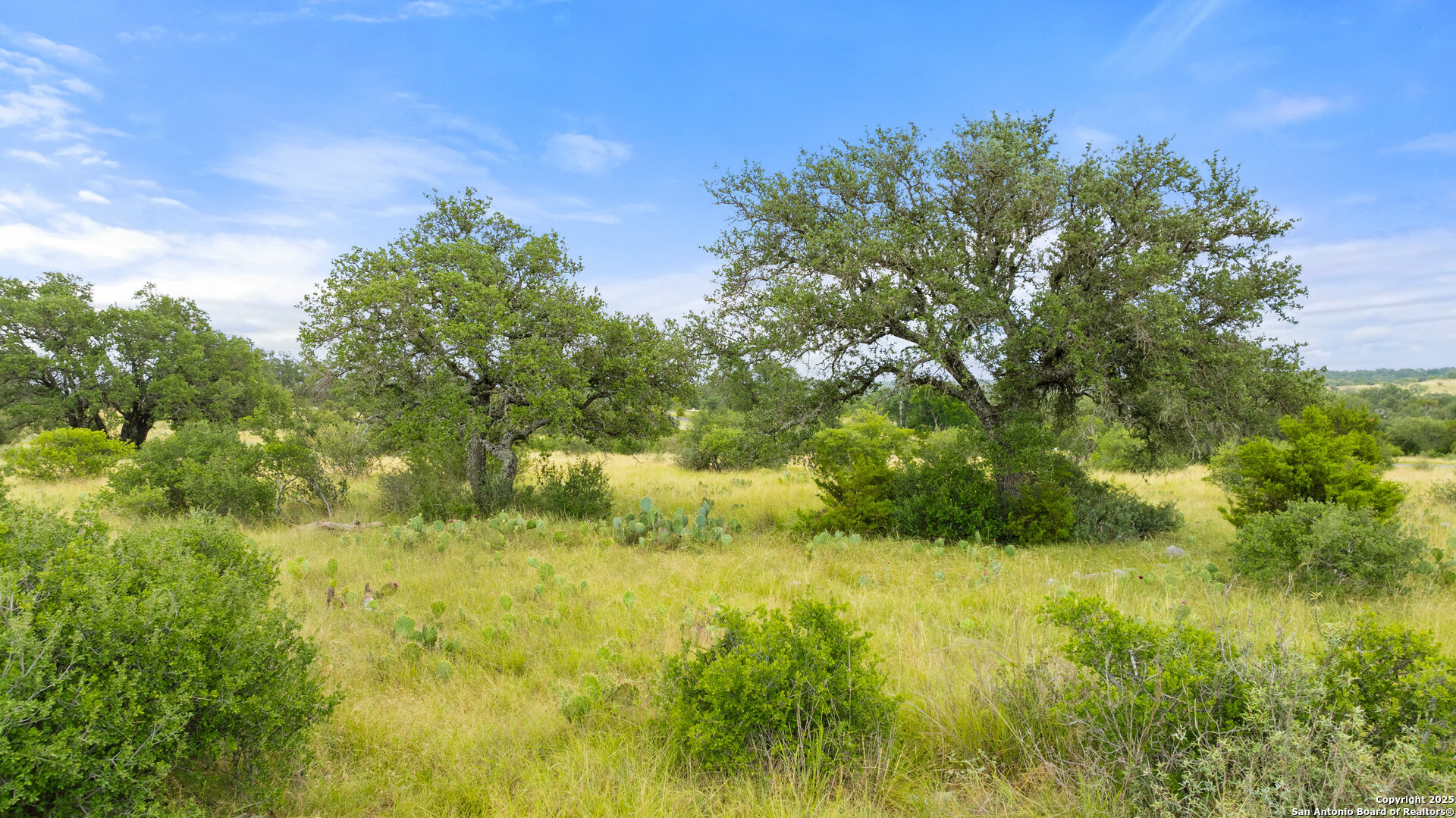 Lot 37 Vista Ridge Round Mountain, TX 78663 - Photo 29 of 30 a view of yard with green space