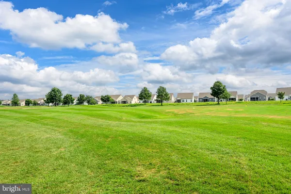 a view of a green field