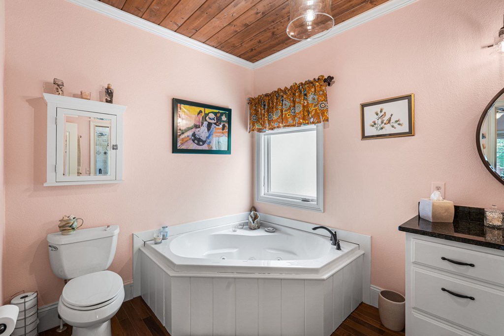 5125 Mineral Springs Road Young Harris, GA 30582 - Photo 34 of 62 a bathroom with a sink and a toilet
