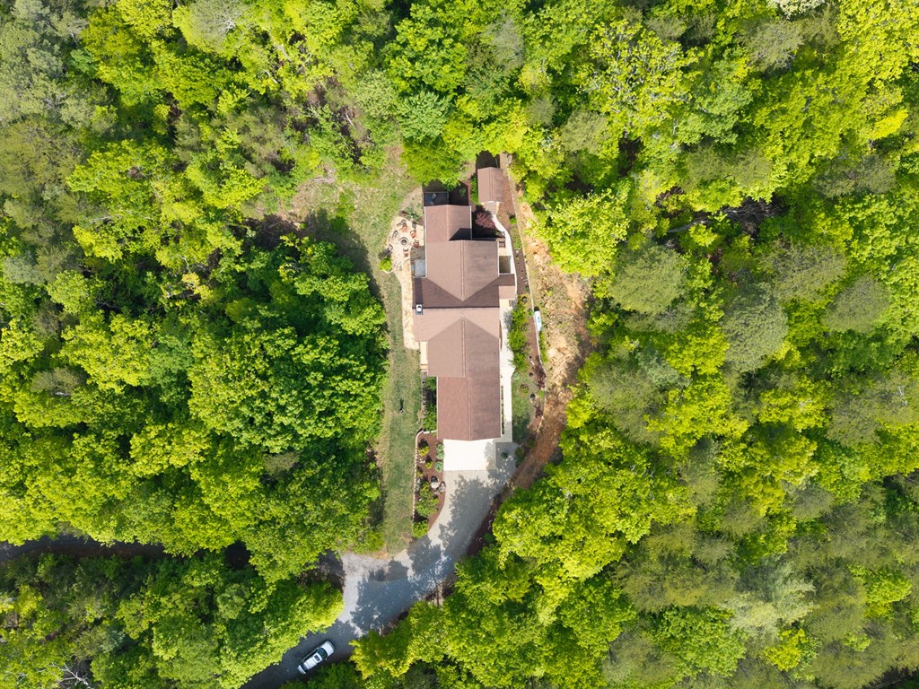 5125 Mineral Springs Road Young Harris, GA 30582 - Photo 60 of 62