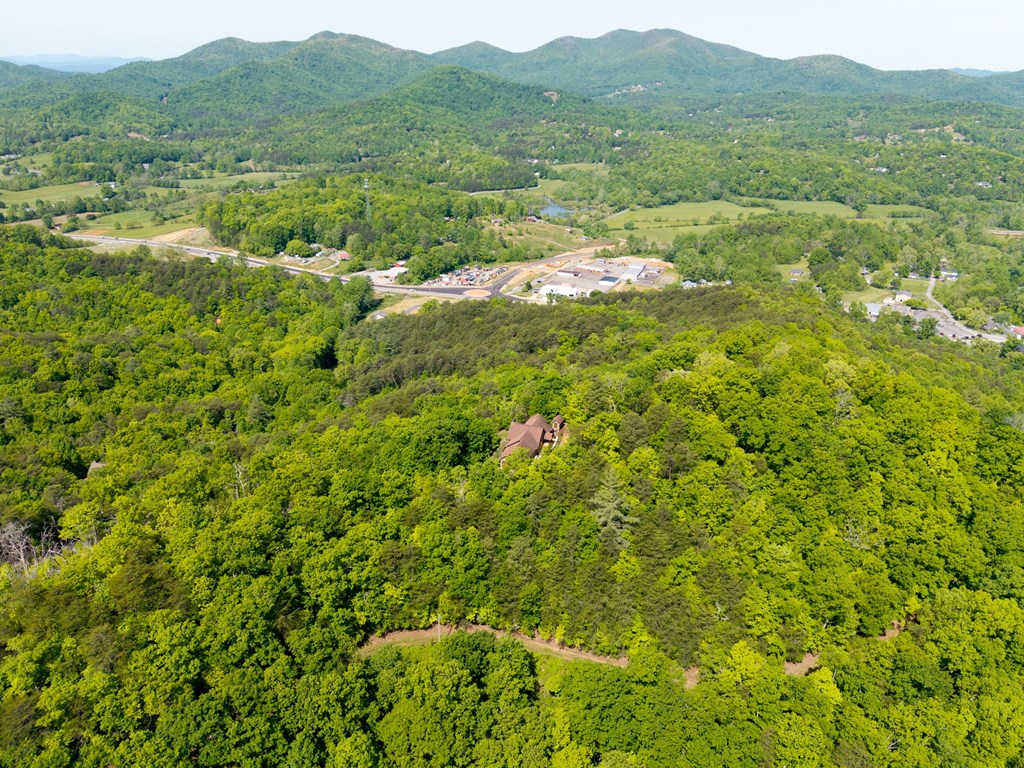 5125 Mineral Springs Road Young Harris, GA 30582 - Photo 61 of 62 a view of a lush green hillside and houses