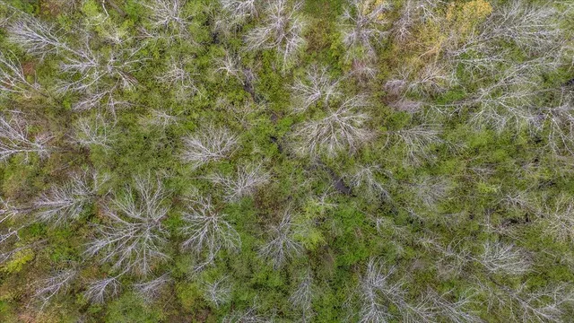 $55,000 | Lot 16 Ashland Drive, Thomaston, ME 04861