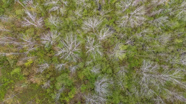 $55,000 | Lot 16 Ashland Drive, Thomaston, ME 04861