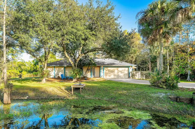 a view of a park with large trees