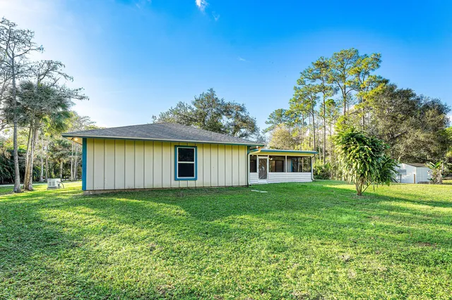 a view of a garden with plants