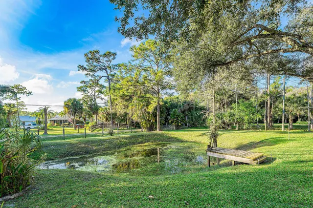 a park view with bench and trees