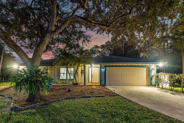 a view of a garden with plants