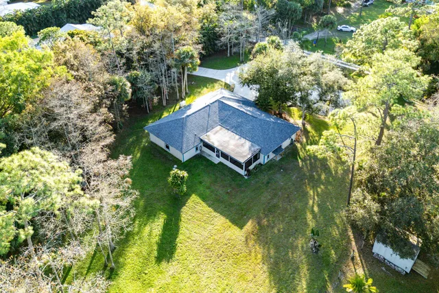 a plant that is in a garden