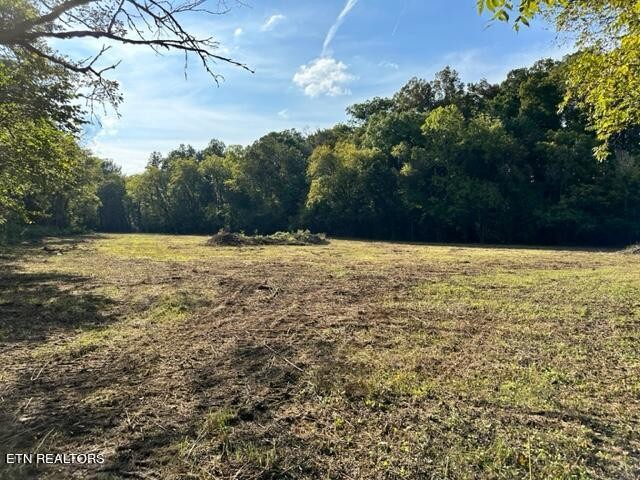 0 Community Park Road Seymour, TN 37865 - Photo 17 of 22 Gallery Image 17