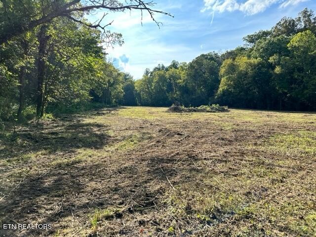 0 Community Park Road Seymour, TN 37865 - Photo 8 of 22 Gallery Image 8