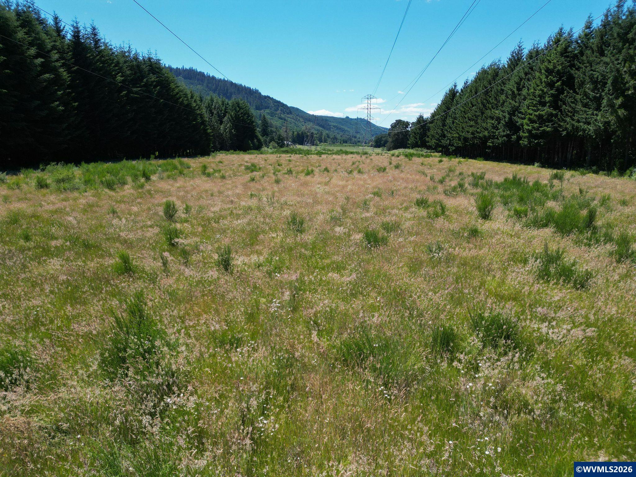 2702-2703 South Cedar Mill Road Lyons, OR 97358 - Photo 17 of 17