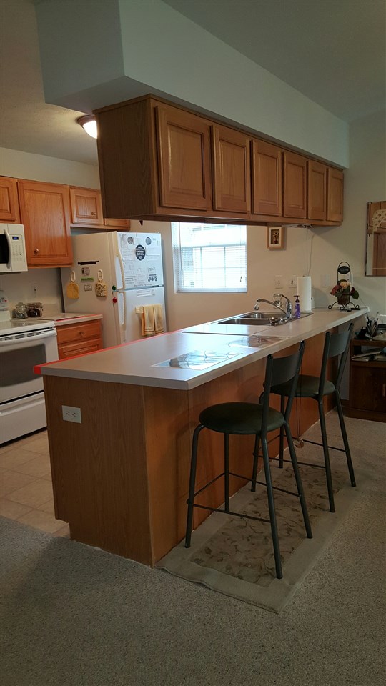 420 Mill Ridge Drive Byron, IL 61010 - Photo 3 of 5 Gallery Image 3
