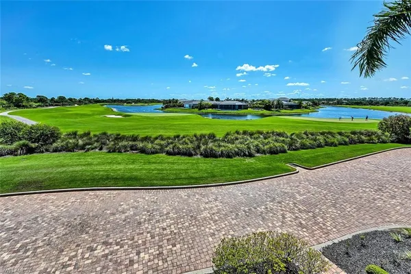 a view of a swimming pool with a yard and plants