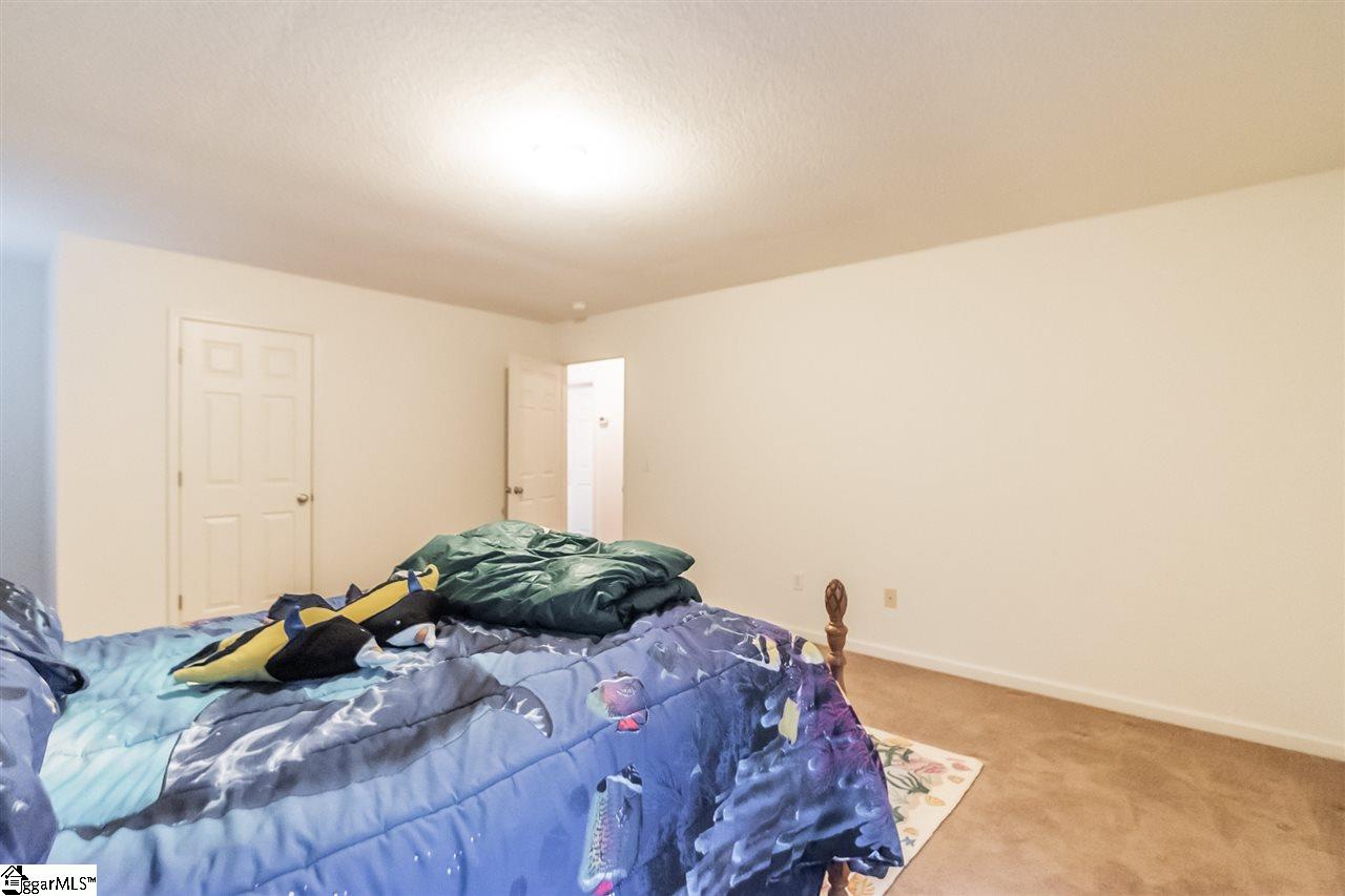 111 Soliel Way Pendleton, SC 29670 - Photo 21 of 30