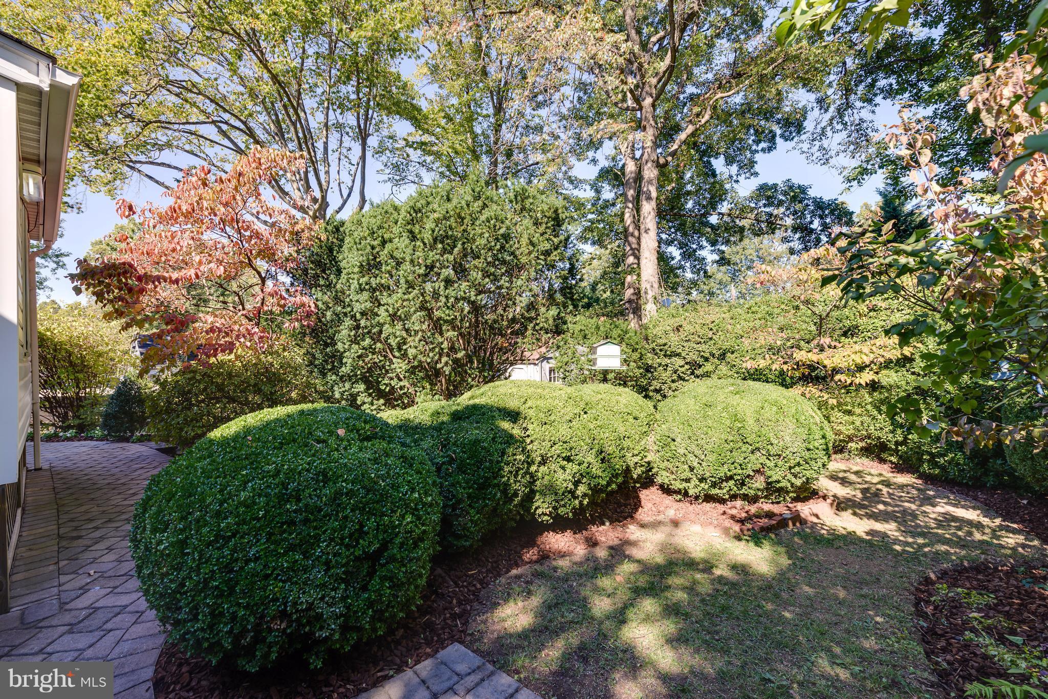 2807 Munson Street Silver Spring, MD 20902 - Photo 26 of 30 Wander through charming paths