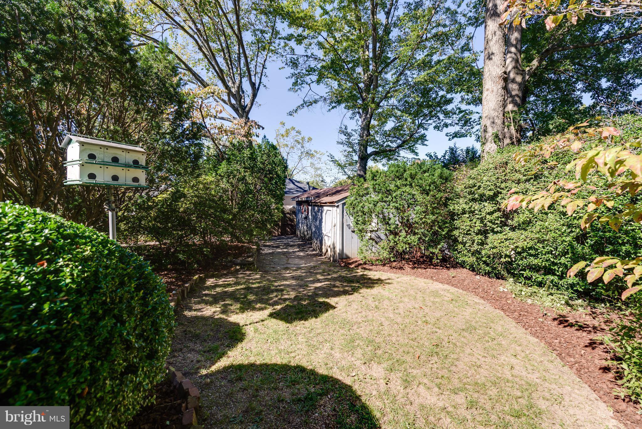 2807 Munson Street Silver Spring, MD 20902 - Photo 27 of 30 Garden sheds with electricity
