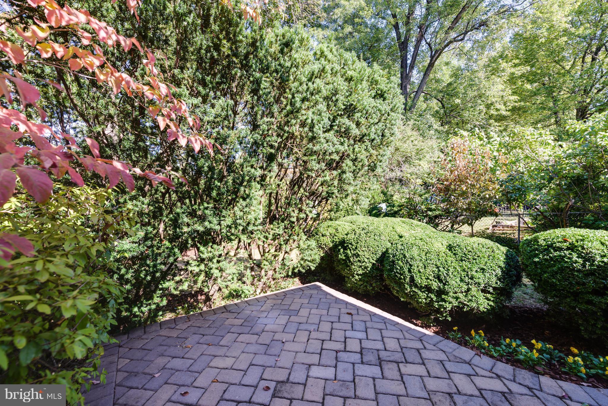 2807 Munson Street Silver Spring, MD 20902 - Photo 29 of 30 Perennial landscaping