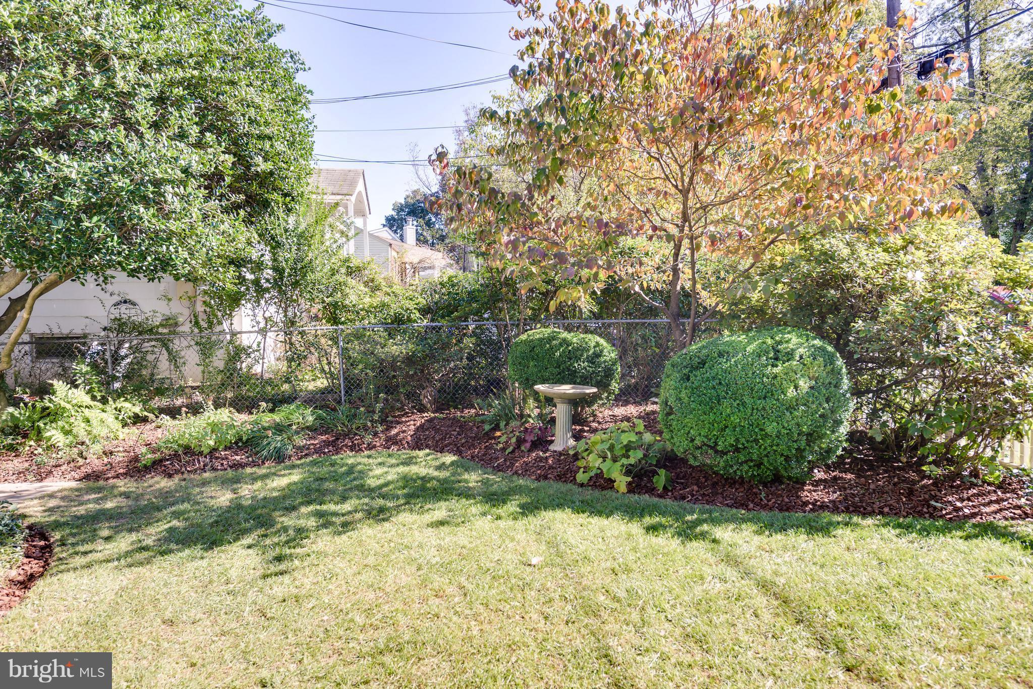 2807 Munson Street Silver Spring, MD 20902 - Photo 30 of 30 A gorgeous end to your book!
