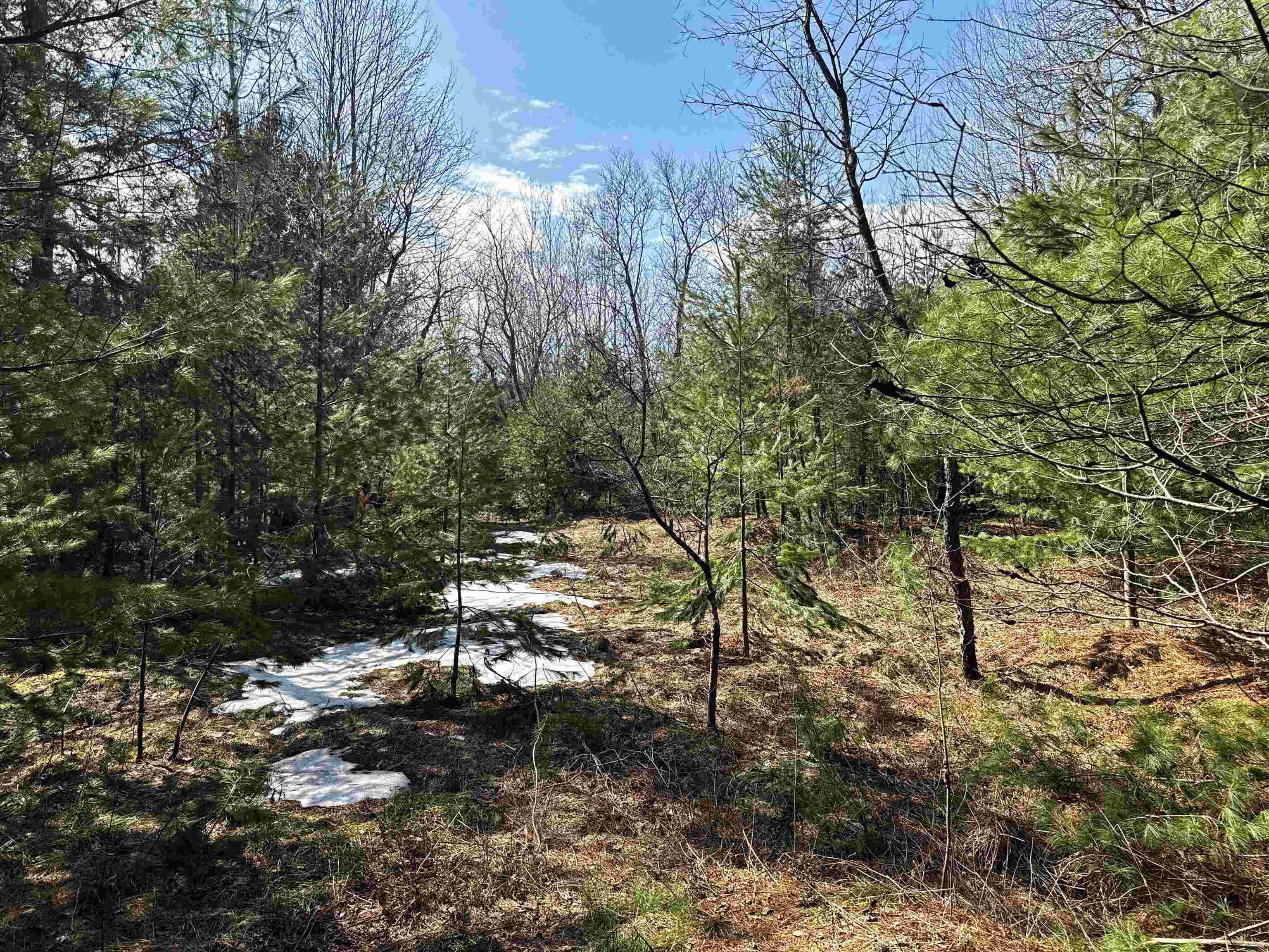 8324 Besaw Road Northeast Mancelona, MI 49659 - Photo 23 of 24 1932813-e573347c-3d5d-465c-955f-545afc311b18.JPG