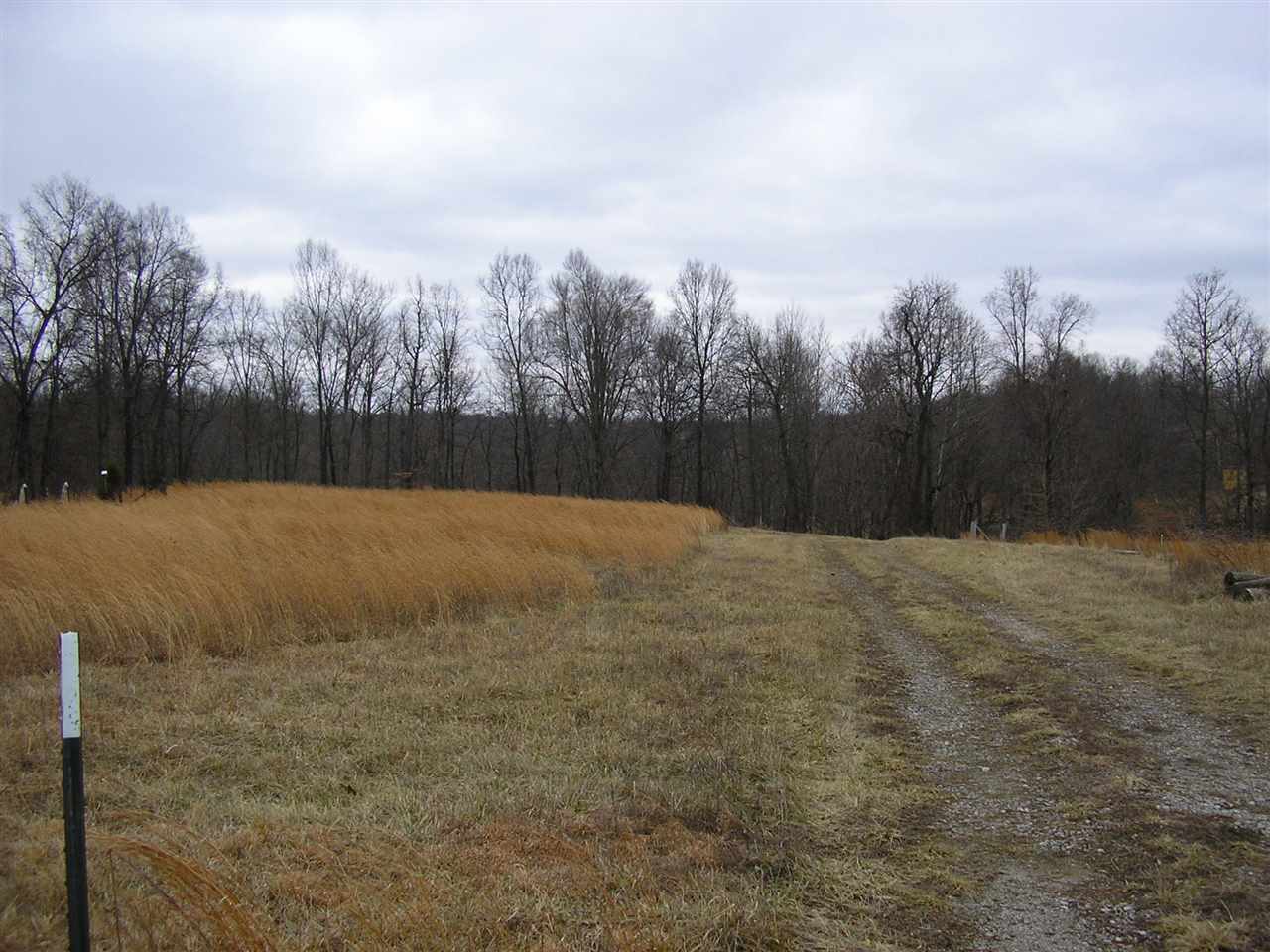 0 Barren River Road Morgantown, KY 42261 - Photo 6 of 17 Gallery Image 6