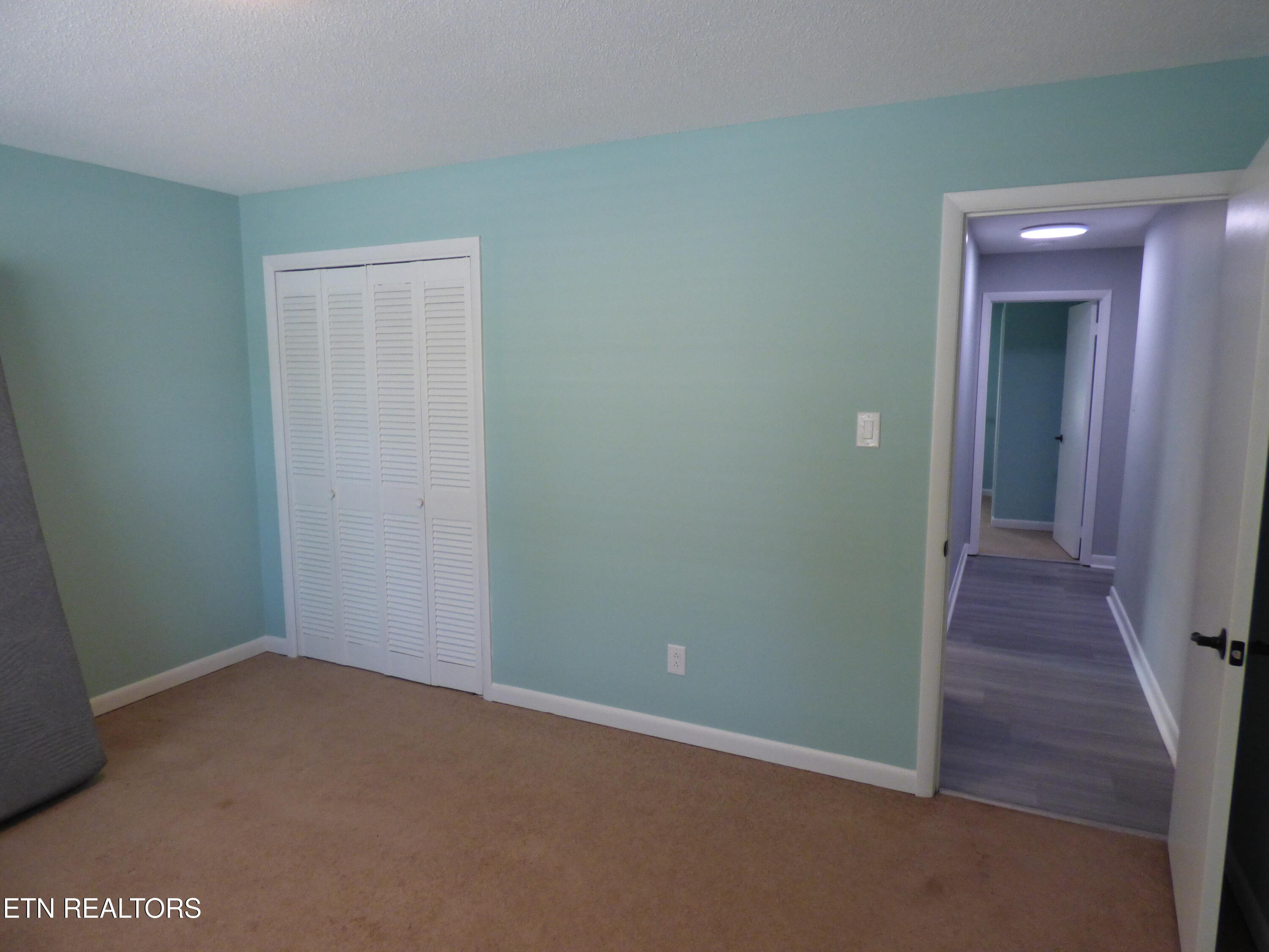 153 Travis Drive Spring City, TN 37381 - Photo 18 of 45 P1080902