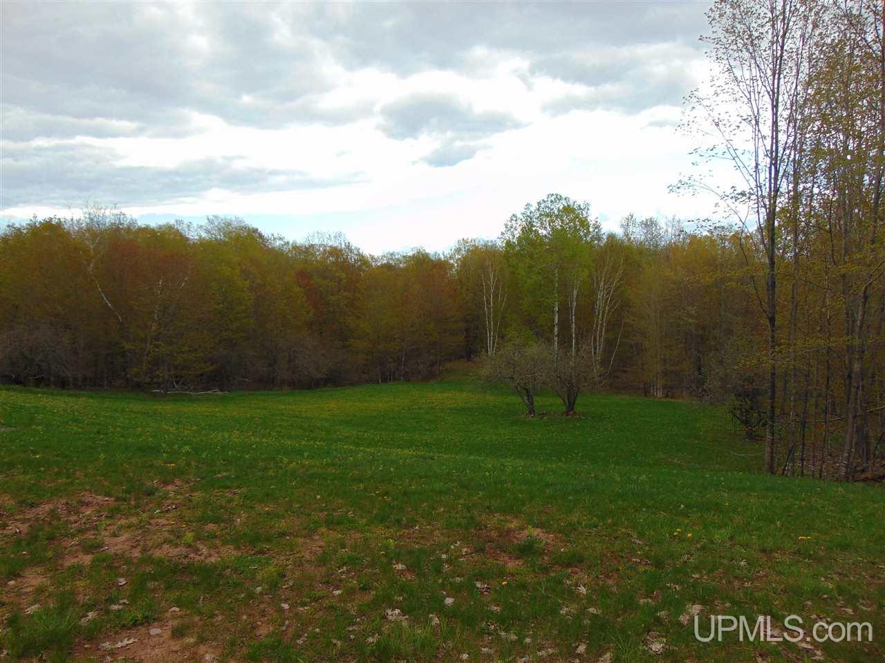 34861 Apple Seed Road, Unit TAPIOLA Chassell, MI 49916 - Photo 47 of 61