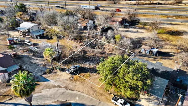 a picture of flowers