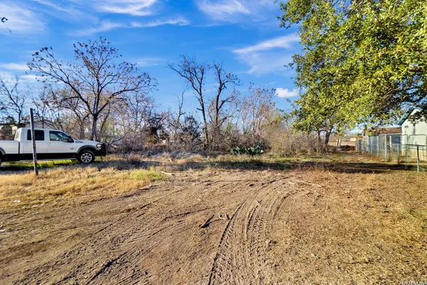 a view of a yard with trees
