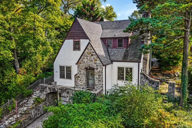 aerial view of a house with a yard and potted plants