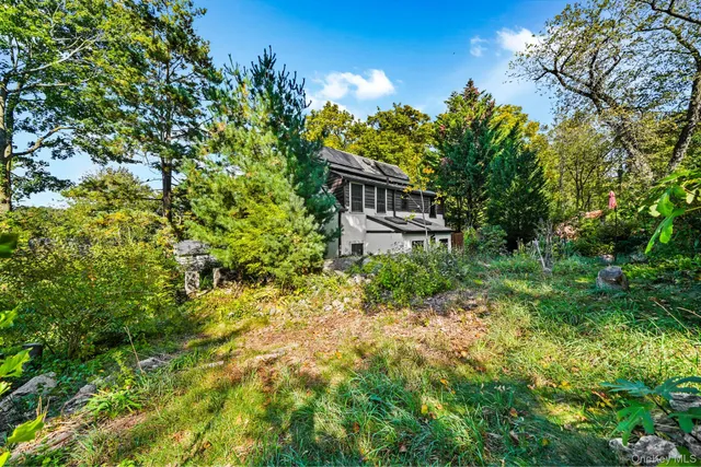 a backyard of a house with plants and tree