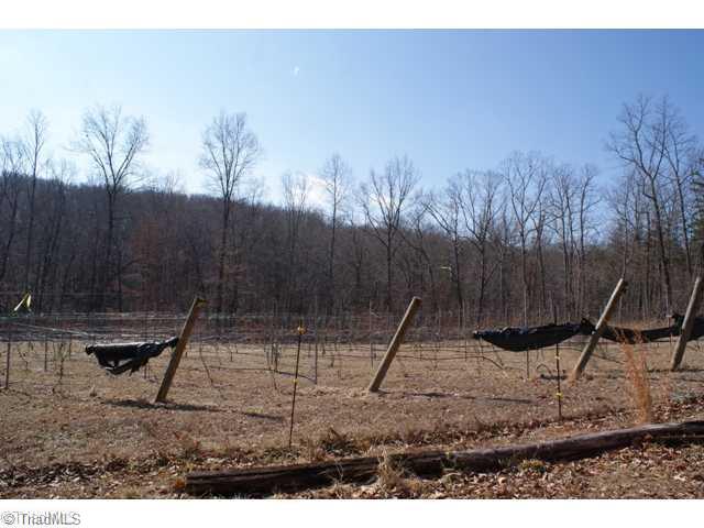 Other. Vineyard