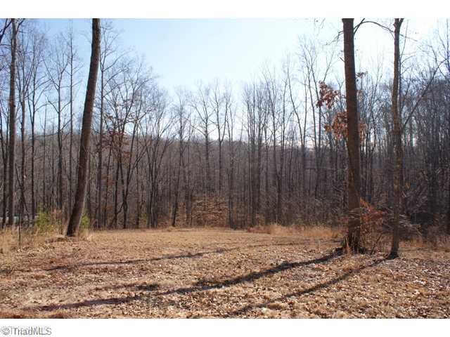 419 Kallam Mill Road Madison, NC 27025 - Photo 12 of 16 Land.