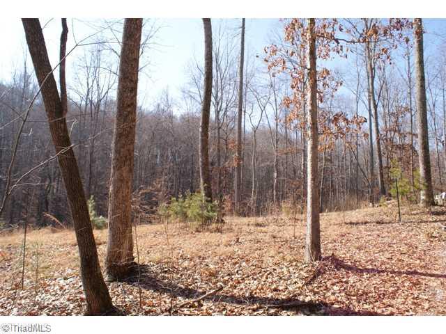 419 Kallam Mill Road Madison, NC 27025 - Photo 14 of 16 Land.