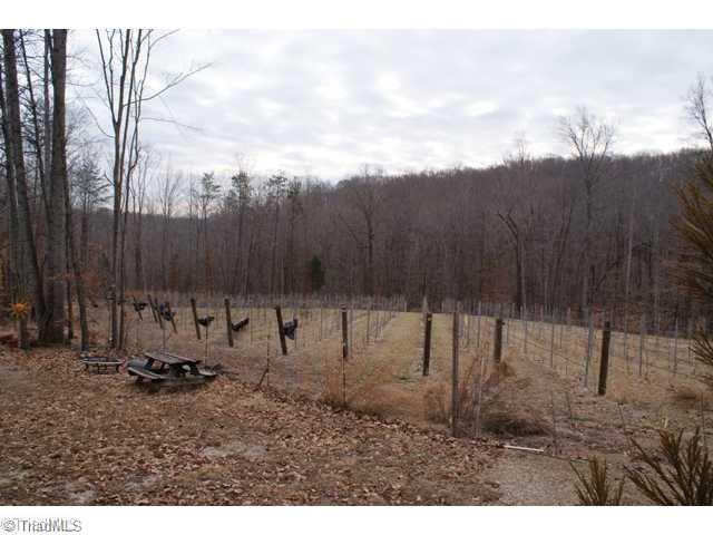 419 Kallam Mill Road Madison, NC 27025 - Photo 15 of 16 Other. Vineyard