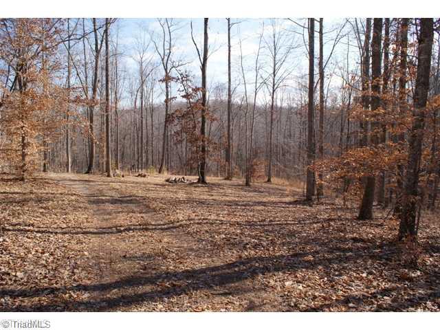 419 Kallam Mill Road Madison, NC 27025 - Photo 8 of 16 Land.