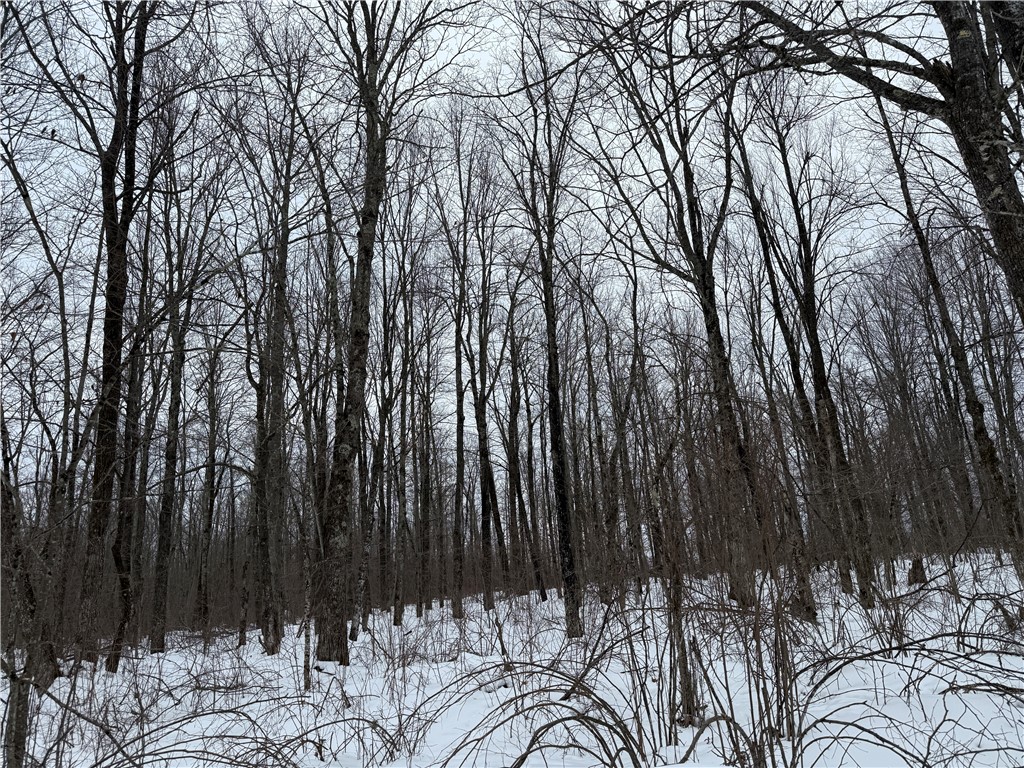 N8280 Winter Road Ladysmith, WI 54848 - Photo 27 of 33