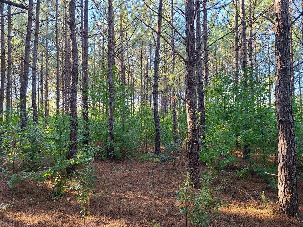 0 Airbase Road Pollock, LA 71467 - Photo 2 of 4