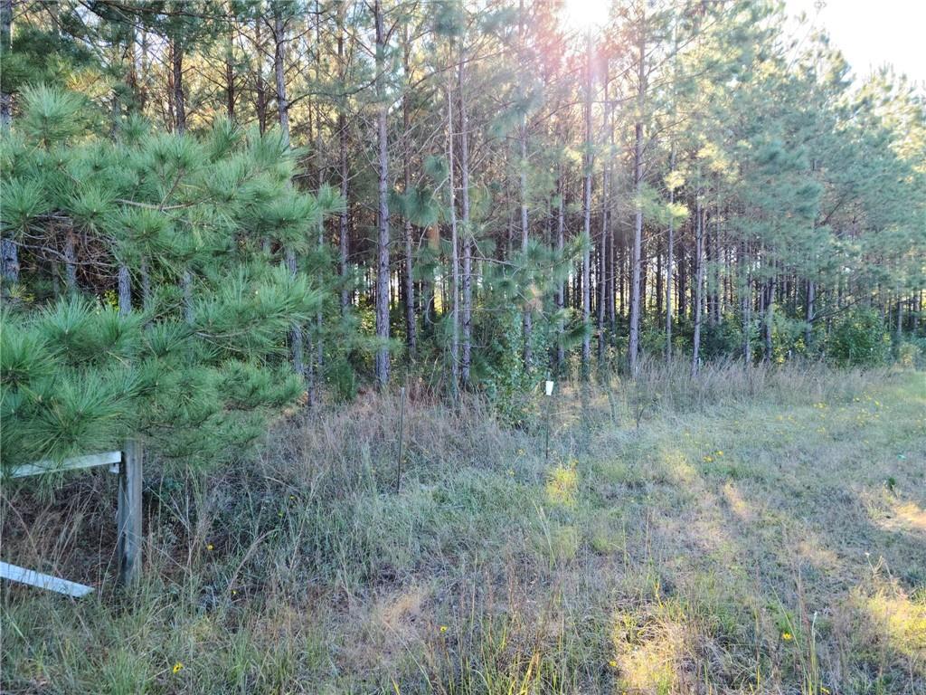 0 Airbase Road Pollock, LA 71467 - Photo 3 of 4