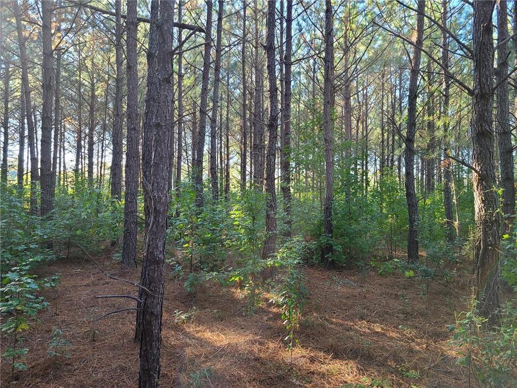 0 Airbase Road Pollock, LA 71467 - Photo 4 of 4