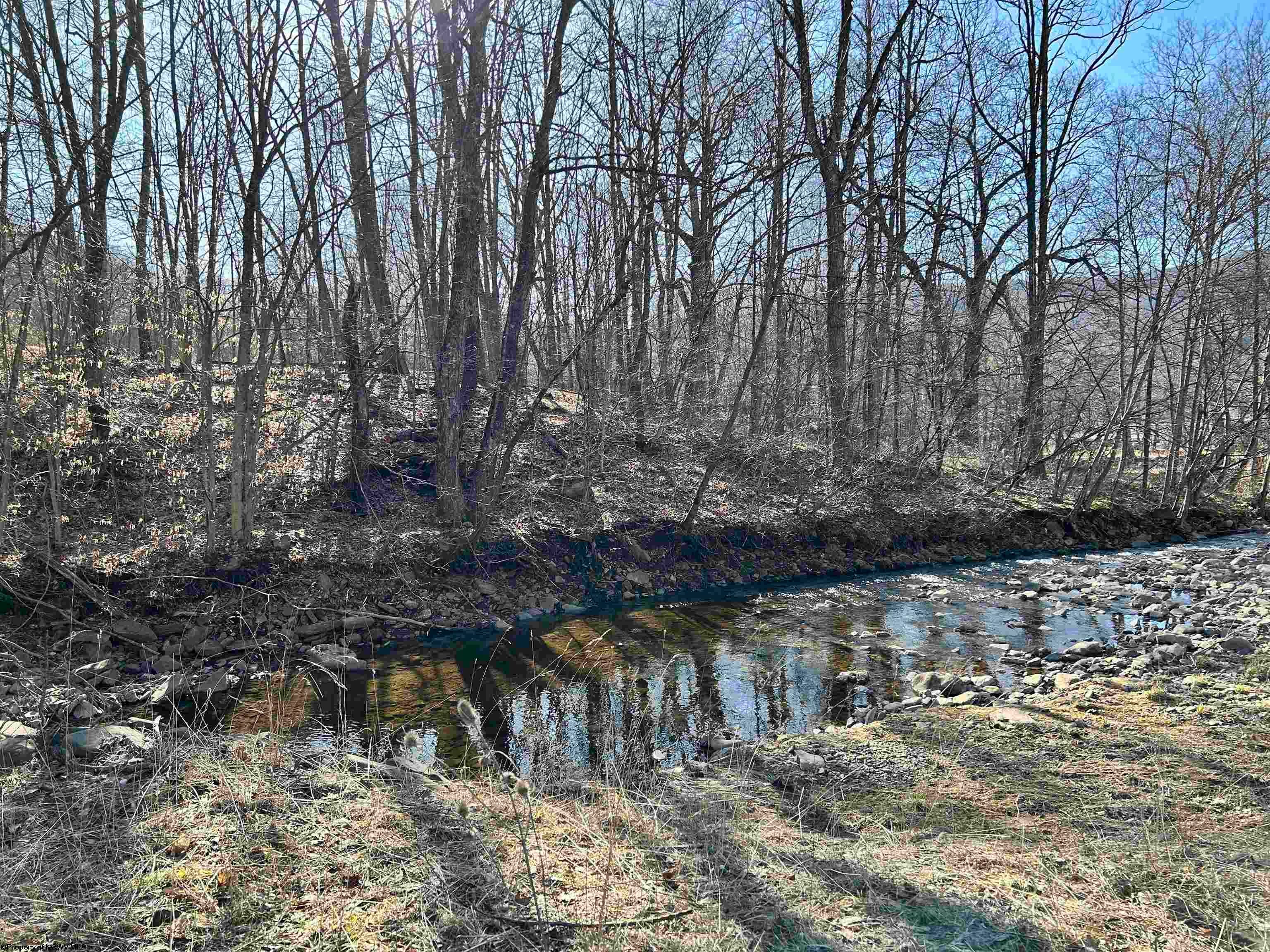14 Blizzards Gate Road Harman, WV 26270 - Photo 9 of 27 Gallery Image 9
