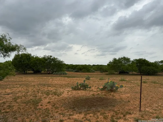 a view of outdoor space with garden and barbeque oven