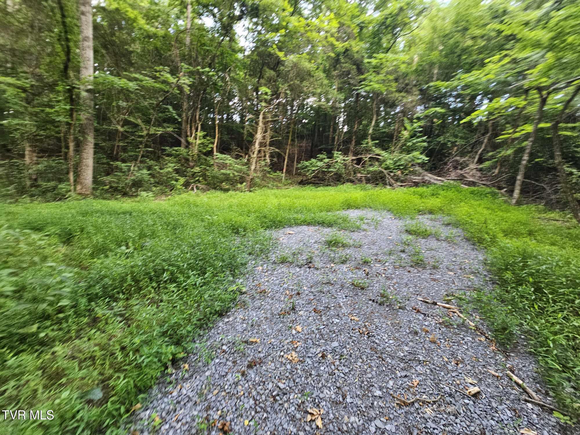 2264 Devault Bridge Road Piney Flats, TN 37686 - Photo 11 of 29 9f3503e9-4470-43fc-a2ed-8395fef83ccc