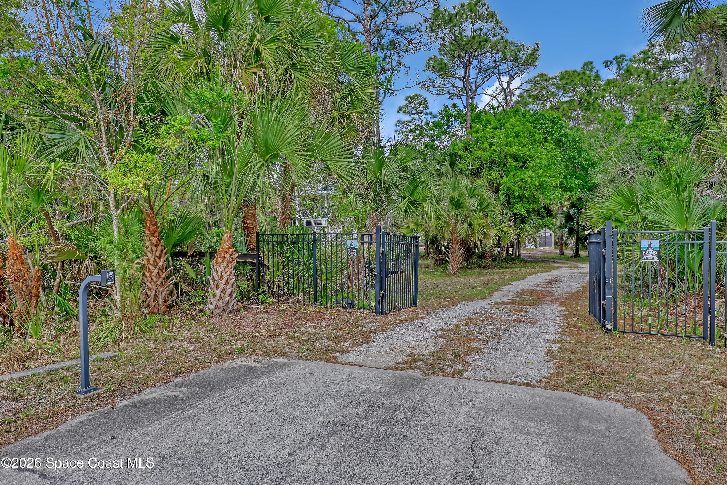 4200 Mustang Road Melbourne, FL 32934 - Photo 4 of 58 a view of a road with plants and trees