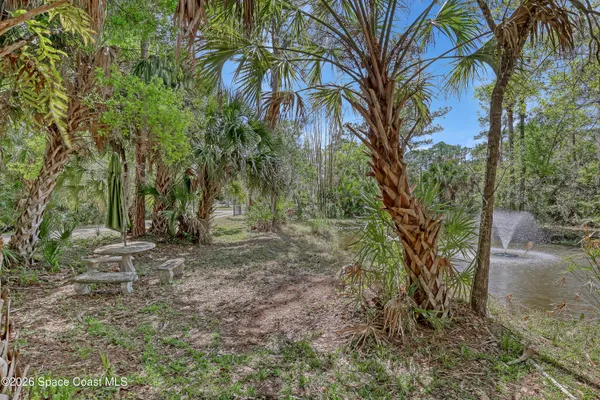 a view of a tree in the middle of a yard