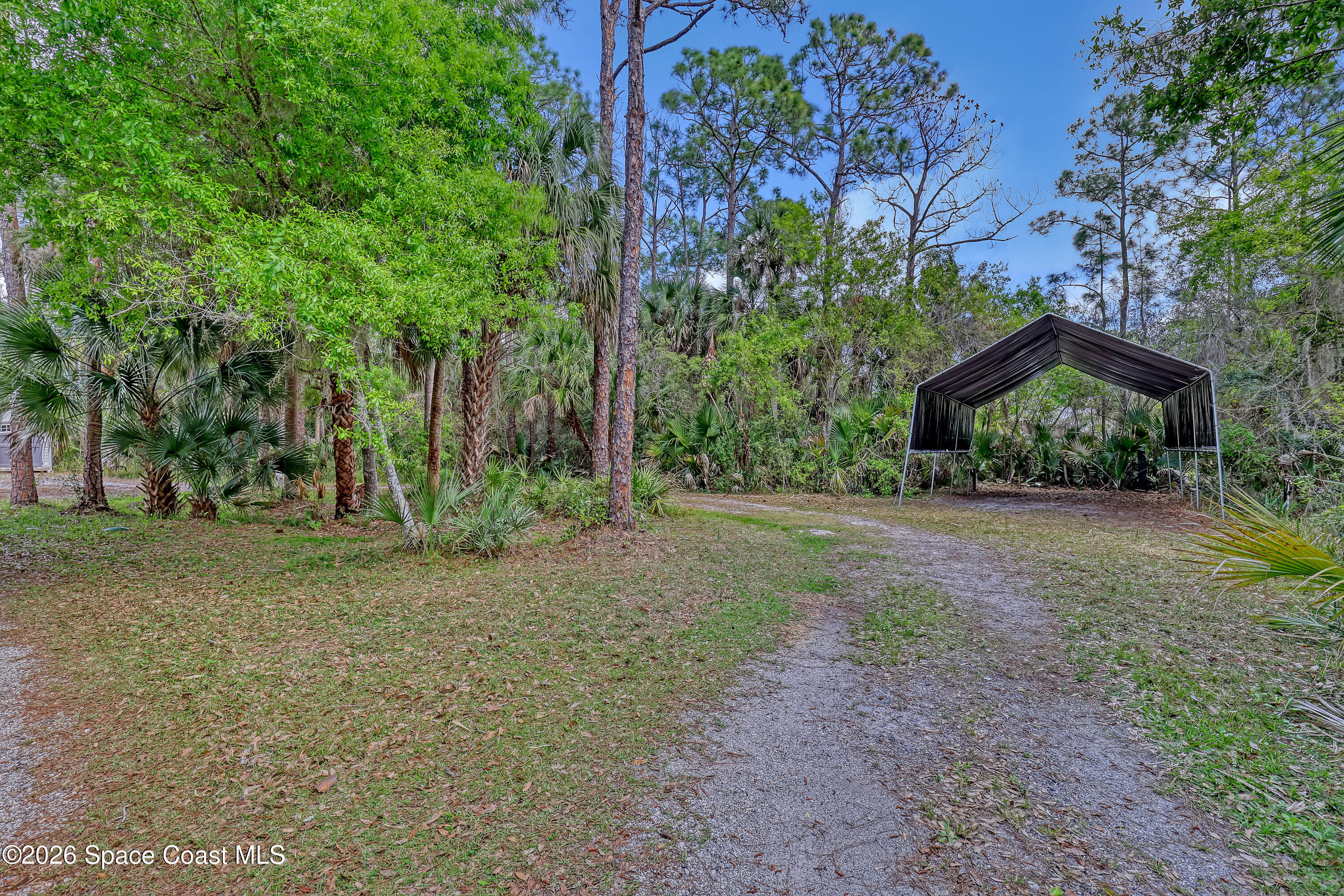 4200 Mustang Road Melbourne, FL 32934 - Photo 8 of 58 a view of a tree in the middle of a yard