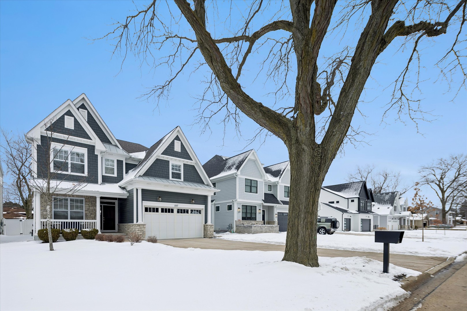 557 North Myrtle Avenue Elmhurst, IL 60126 - Photo 33 of 33 a front view of a house with a tree