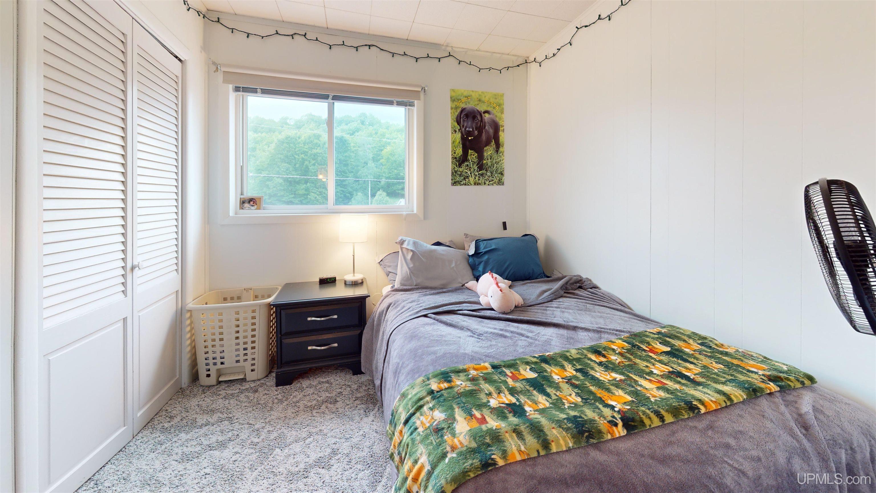 747 South Pine Street Ishpeming, MI 49849 - Photo 25 of 60