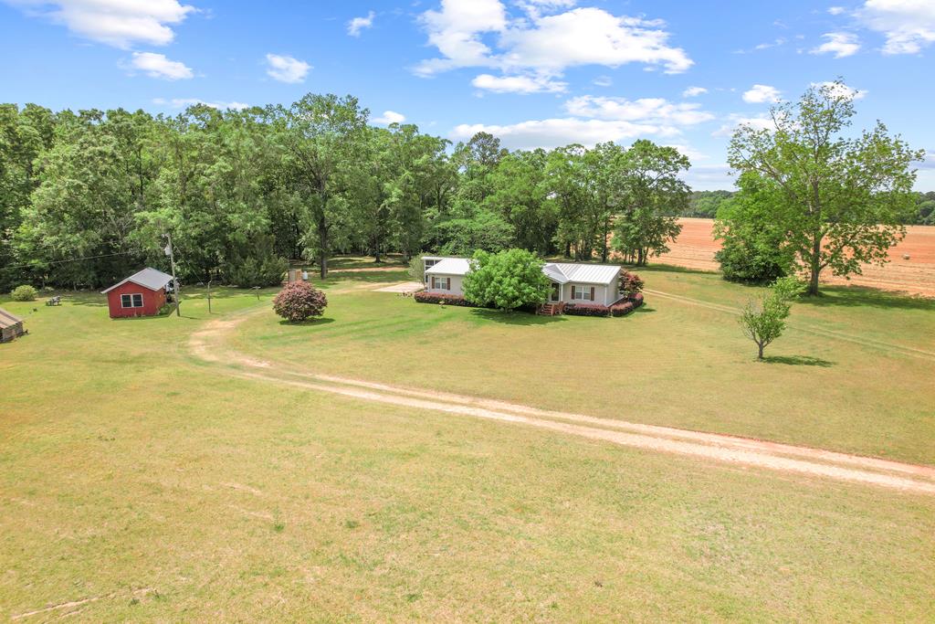 2376 Singletary Road Slocomb, AL 36375 - Photo 56 of 69