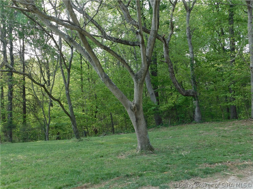 4946 West Arrow Road Salem, IN 47167 - Photo 3 of 38