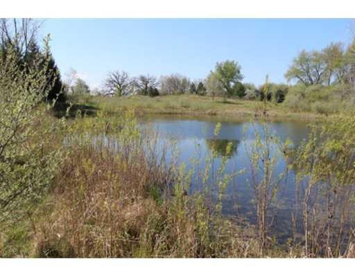 5831 Marshall Road Dexter, MI 48130 - Photo 3 of 7 Photo 3